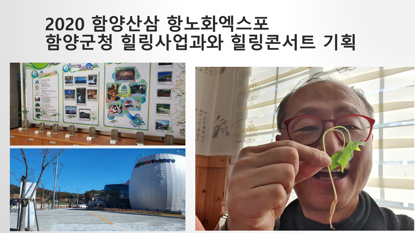 함양산삼 항노화엑스포 힐링콘서트